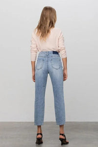 Insane Gene High Rise Straight Jeans - Jessiz Boutique