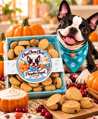 Chew Cheer Chow Pumpkin Yogurt Bites – Dog Treats | 8 oz