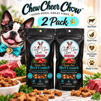 Grain-Free Beef Crunch Dog Treats – 2-Pack | 2.4 oz Each