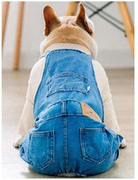 Blue Jeans Dog Overalls - Jessiz Boutique