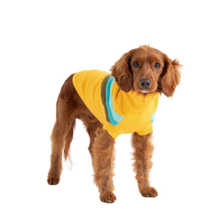 Alpine Dog Sweater - Yellow - Jessiz Boutique