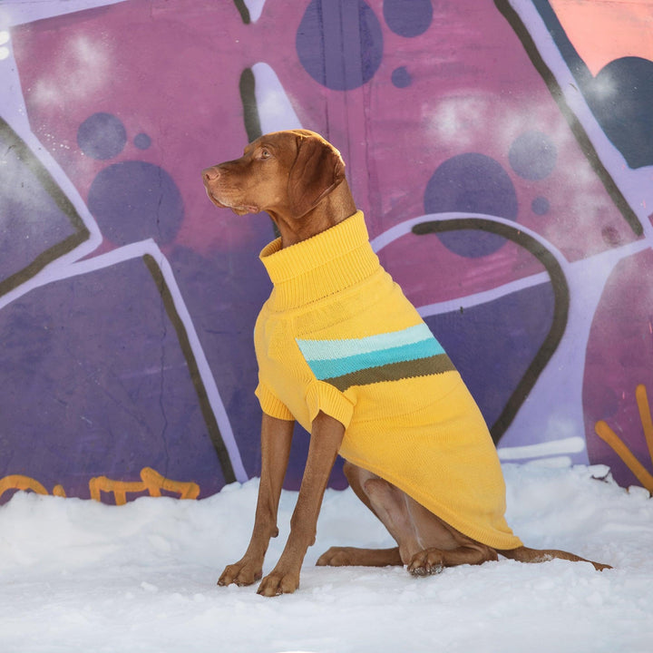 Alpine Dog Sweater - Yellow - Jessiz Boutique