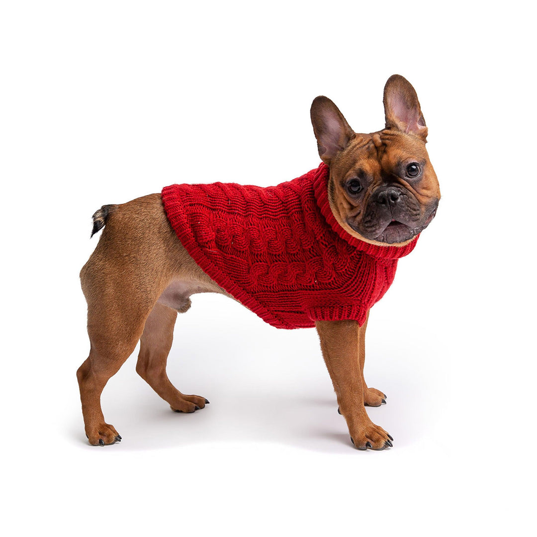 Chic Cozy Red Chalet Dog Sweater - Jessiz Boutique