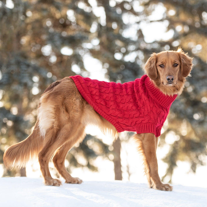 Chic Cozy Red Chalet Dog Sweater - Jessiz Boutique