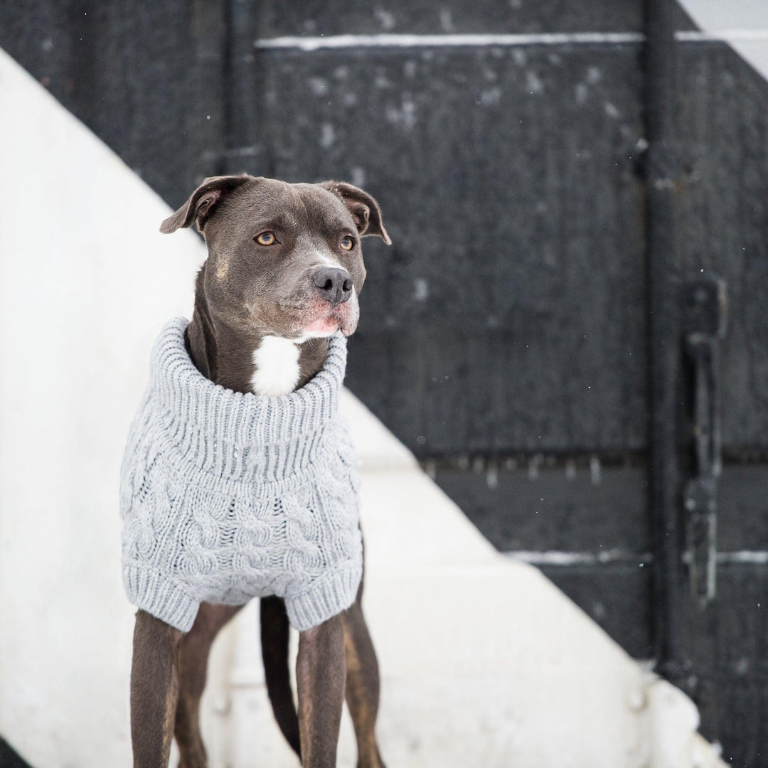 Chunky Cozy Ribbed Dog Sweater - Jessiz Boutique