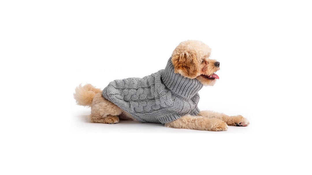 Chunky Cozy Ribbed Dog Sweater - Jessiz Boutique