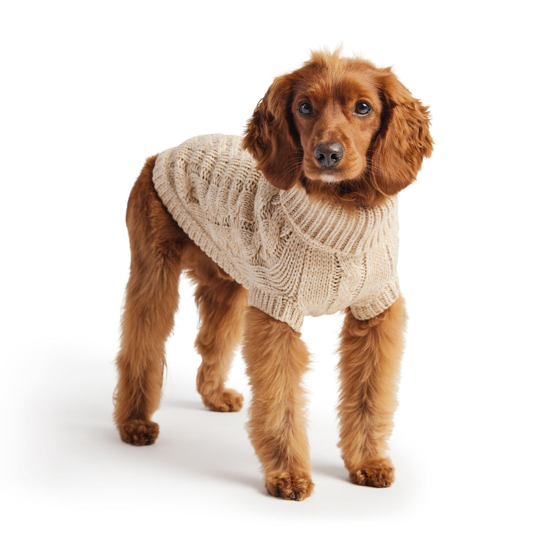 Classic Chalet Cozy Dog Sweater - Jessiz Boutique