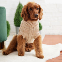 Classic Chalet Cozy Dog Sweater - Jessiz Boutique