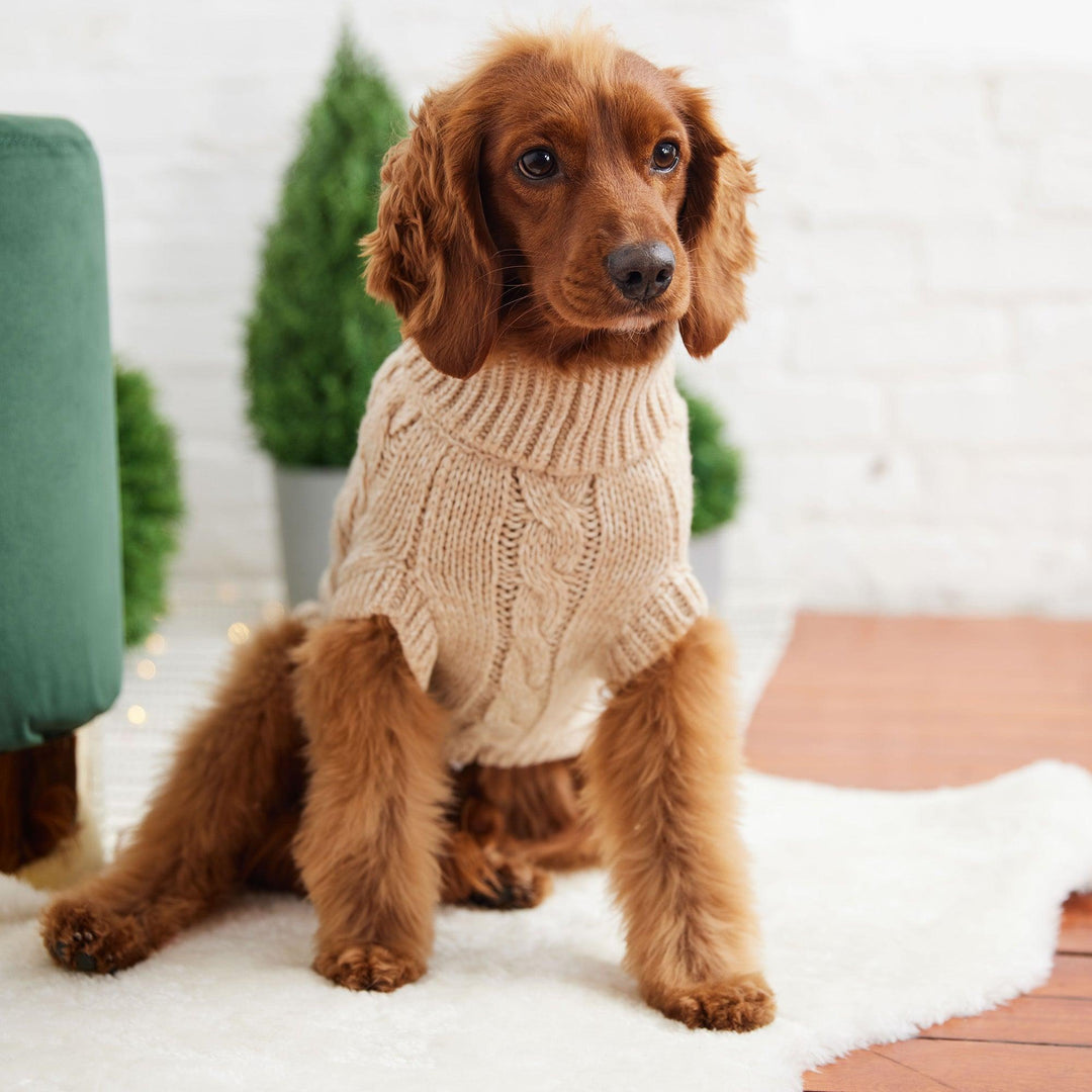 Classic Chalet Cozy Dog Sweater - Jessiz Boutique