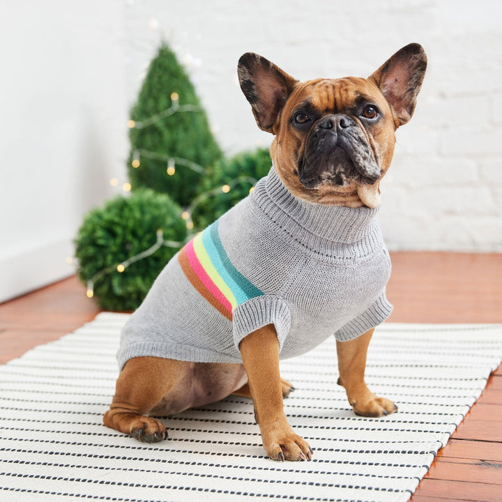 Comfy Retro Dog Sweater Grey Mix Color - Jessiz Boutique