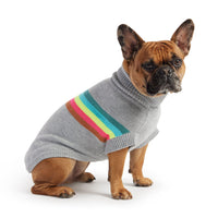 Comfy Retro Dog Sweater Grey Mix Color - Jessiz Boutique