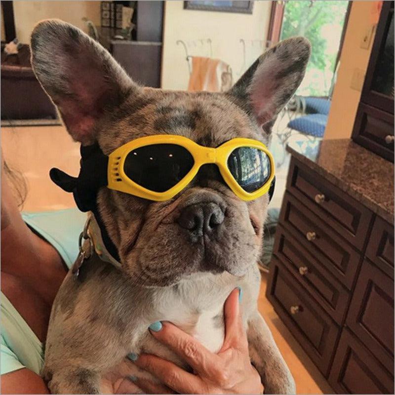 Cool Dog Adjustable Sunglasses - Jessiz Boutique