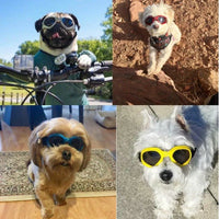 Cool Dog Adjustable Sunglasses - Jessiz Boutique