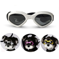 Cool Dog Adjustable Sunglasses - Jessiz Boutique