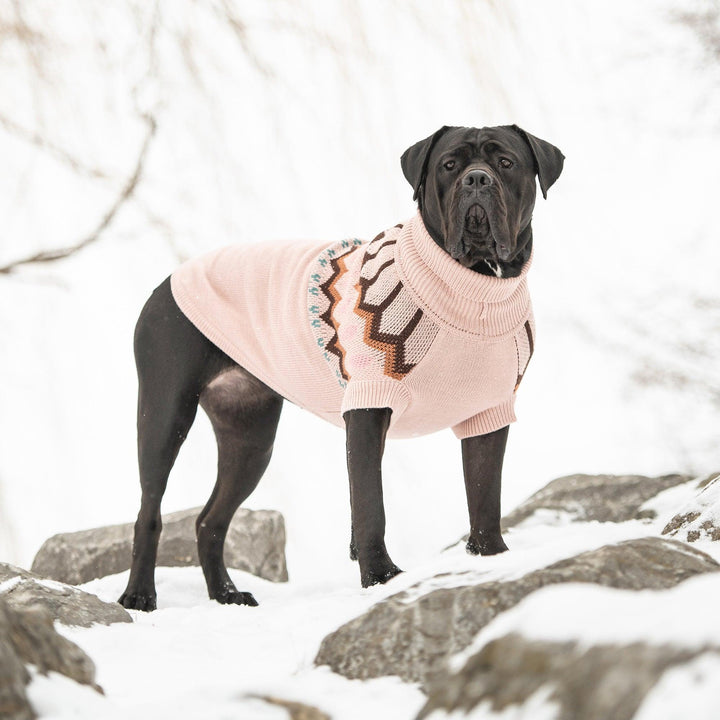 Heritage Sweater - Pink - Jessiz Boutique