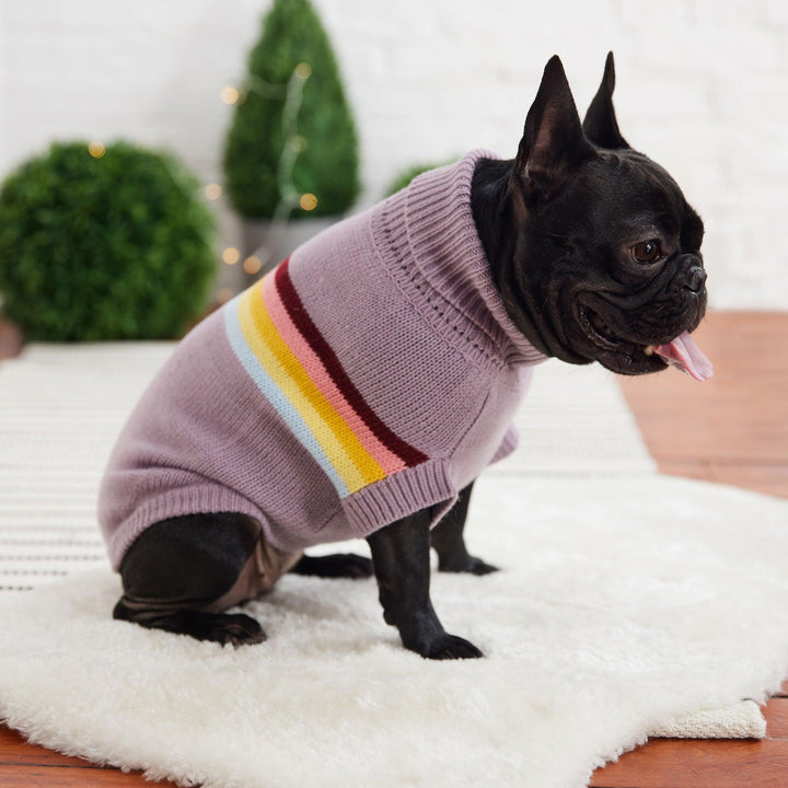 Lavender Retro Comfy Dog Sweater - Jessiz Boutique