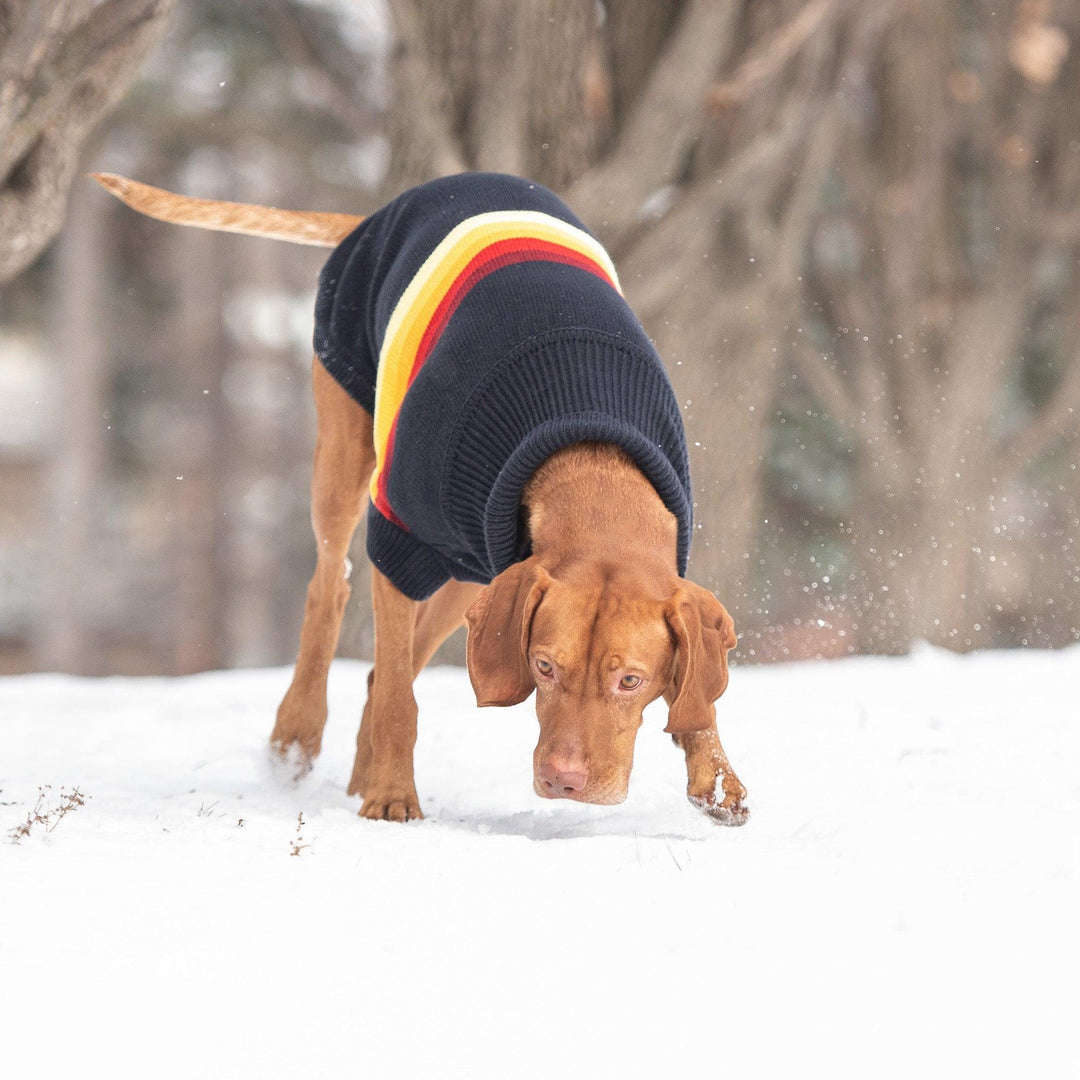 Retro Dog Sweater - Navy - Jessiz Boutique