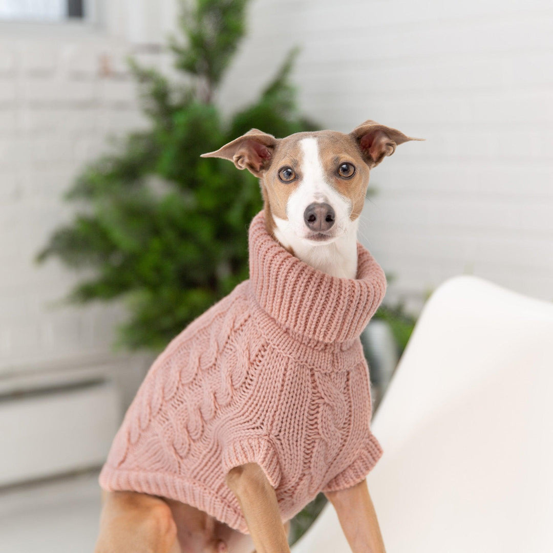 Snuggly Chalet Pet Sweater - Jessiz Boutique