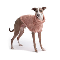 Snuggly Chalet Pet Sweater - Jessiz Boutique