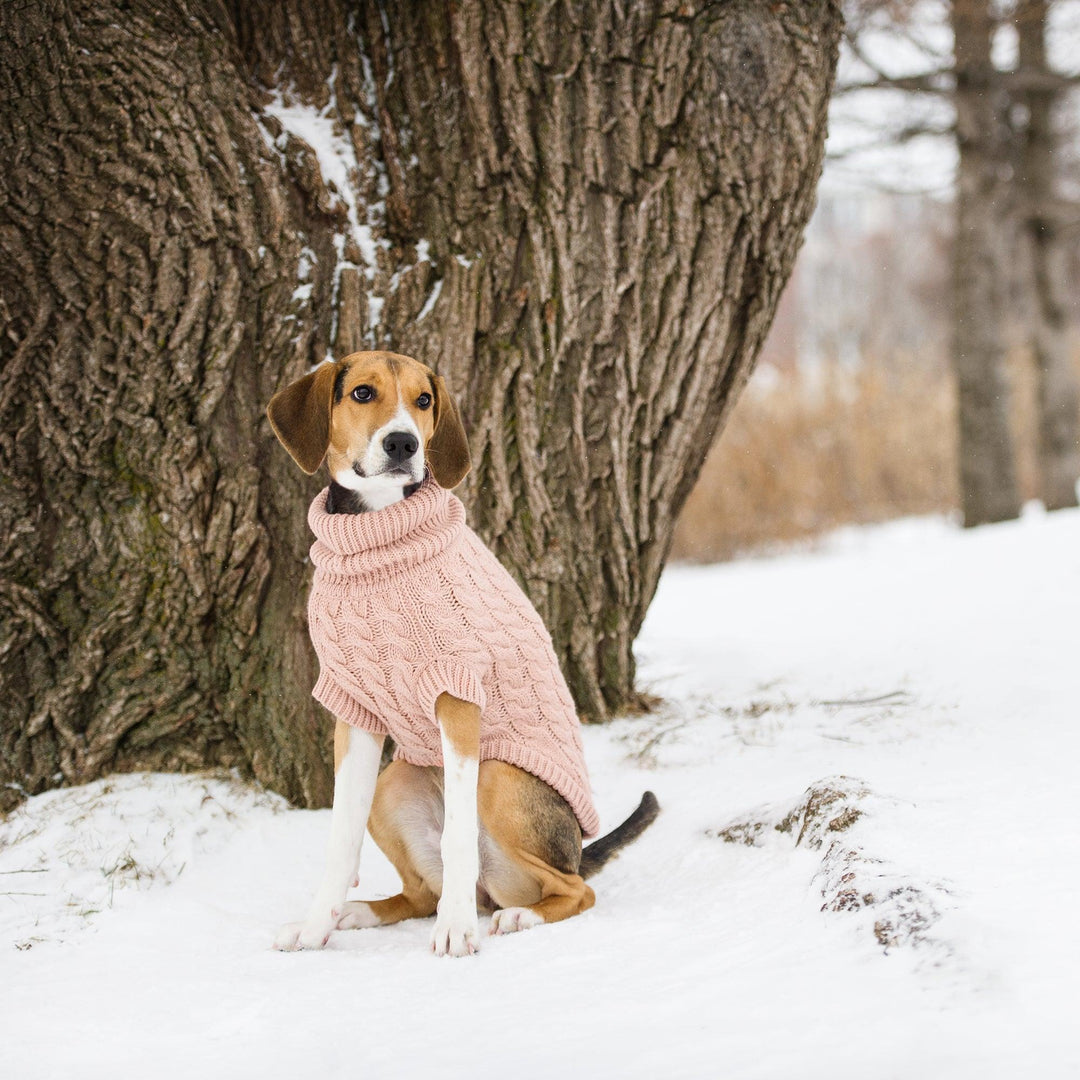Snuggly Chalet Pet Sweater - Jessiz Boutique